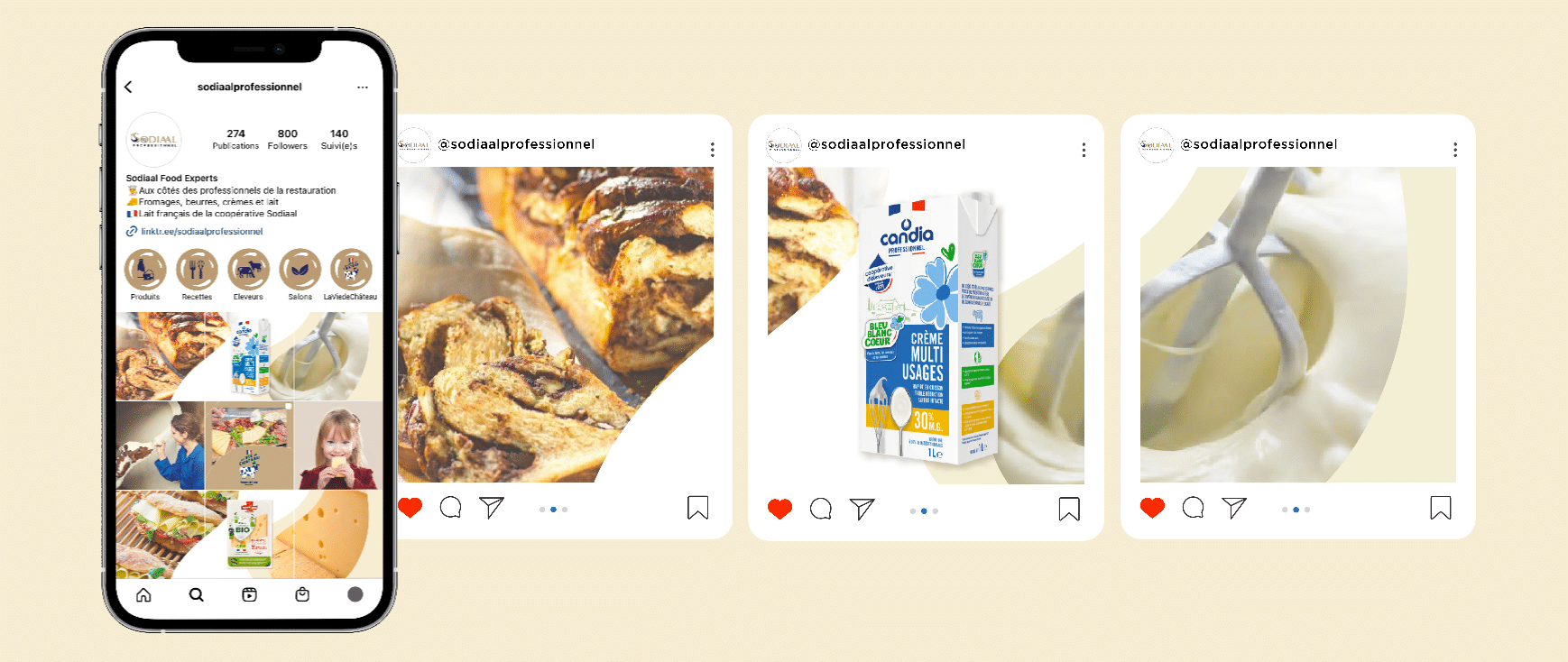 social media Sodiaal Professionnel expertise Aioli Digital communication food