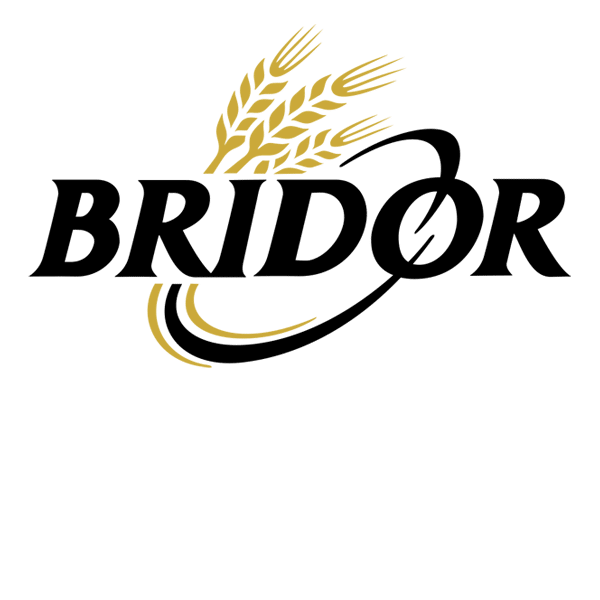 Bridor client aioli digital agence de communication globale